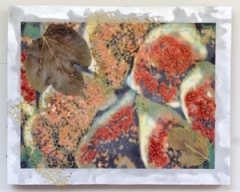 Diane Destiny, (CA) "Fig Theory", 12 x 15 in., Encaustic on Brushed Aluminum