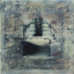 Karen Hymer, (AZ), "Untitled #1", Inner Spaces Series, 12 x 12 in., Encaustic and Photography