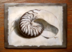 Sydni Kruger, (AZ), "Nautilus Legacy #2", 5 x 7 in., Encaustic medium over graphite on paper, oil paint detail, wood panel