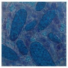 Kay Hartung, (MA), "Cells Surfacing 8", 14 x 14 in., Encaustic, Shellac on Wood Panel